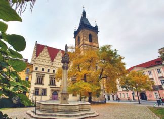 NA NOVOMĚSTSKÉ RADNICI TO ŽIJE