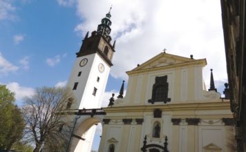 ČESKÉ STŘEDOHOŘÍ PATŘÍ V LÉTĚ I DĚTEM!