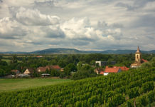 DOLNÍ POOHŘÍ SLAVÍ SKLIZNĚ