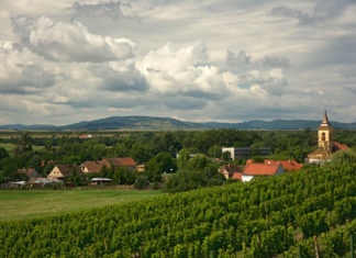 DOLNÍ POOHŘÍ SLAVÍ SKLIZNĚ