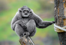 Se třídou do Zoo Praha výhodně