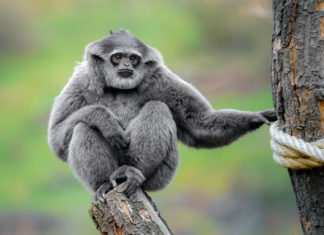 Se třídou do Zoo Praha výhodně