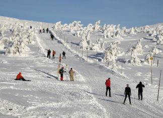 KRKONOŠE – LYŽAŘSKÝ BĚŽECKÝ RÁJ