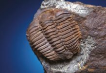 GEOPARK BARRANDIEN ANEB CESTA PO DNĚ ZTRACENÝCH MOŘÍ