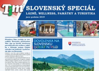 SLOVENSKÉ NOVINY 2019
