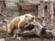ZOO HLUBOKÁ S NOVÝM PROGRAMEM