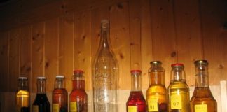 Slavnost oskoruší – stromu Slovácka