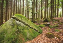 NÁRODNÍ GEOPARK VYSOČINA