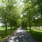 04_Veltrusy (1)