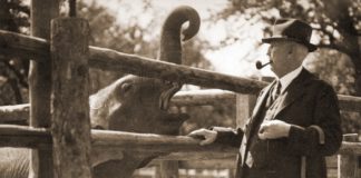 Zoo Praha slaví 90. výročí svého otevření.