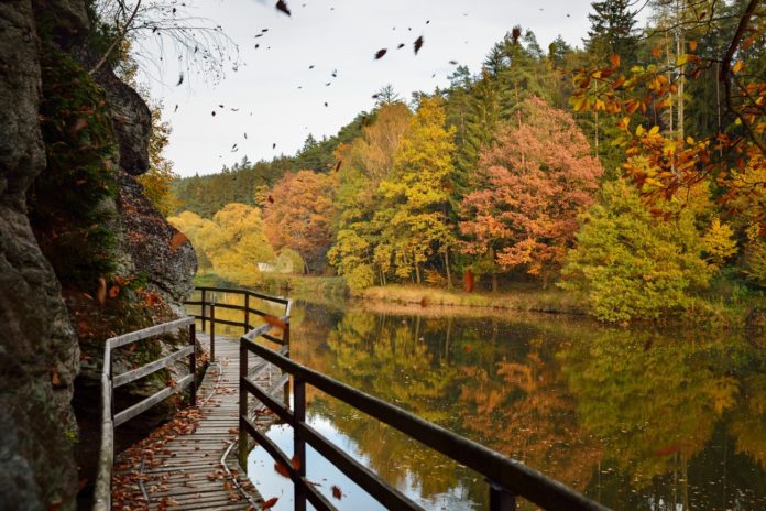 Stezka Lužnice - foto Petr Mareš