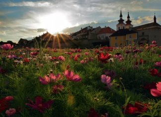 Fotografická soutěž Poohří vaším objektivem se vrací