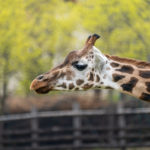 Foto1_DSC04074