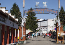 Street food se specialitami z celého světa v pivovaru Velké Popovice