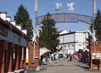 Street food se specialitami z celého světa v pivovaru Velké Popovice