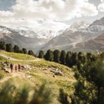 Nationalpark Stilfserjoch Südtirol