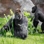 Foto 3_MB2_2683-Edit_export