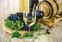 5 menších zajímavých vinobraní na Moravě i v Čechách