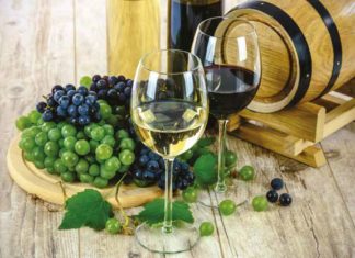 5 menších zajímavých vinobraní na Moravě i v Čechách