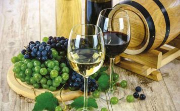 5 menších zajímavých vinobraní na Moravě i v Čechách