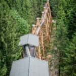 Baumkronenweg von oben